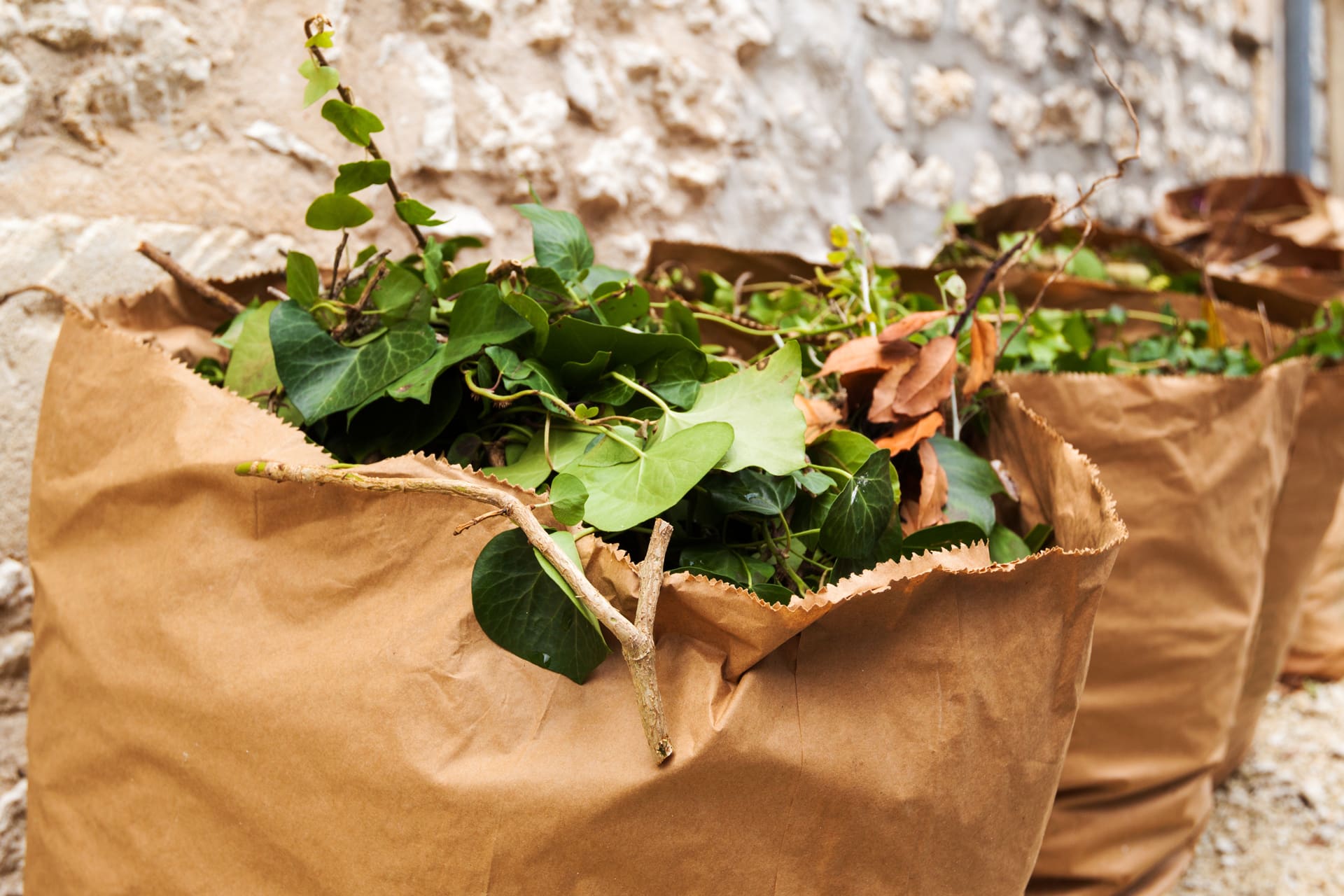 Sac à déchets verts et végétaux