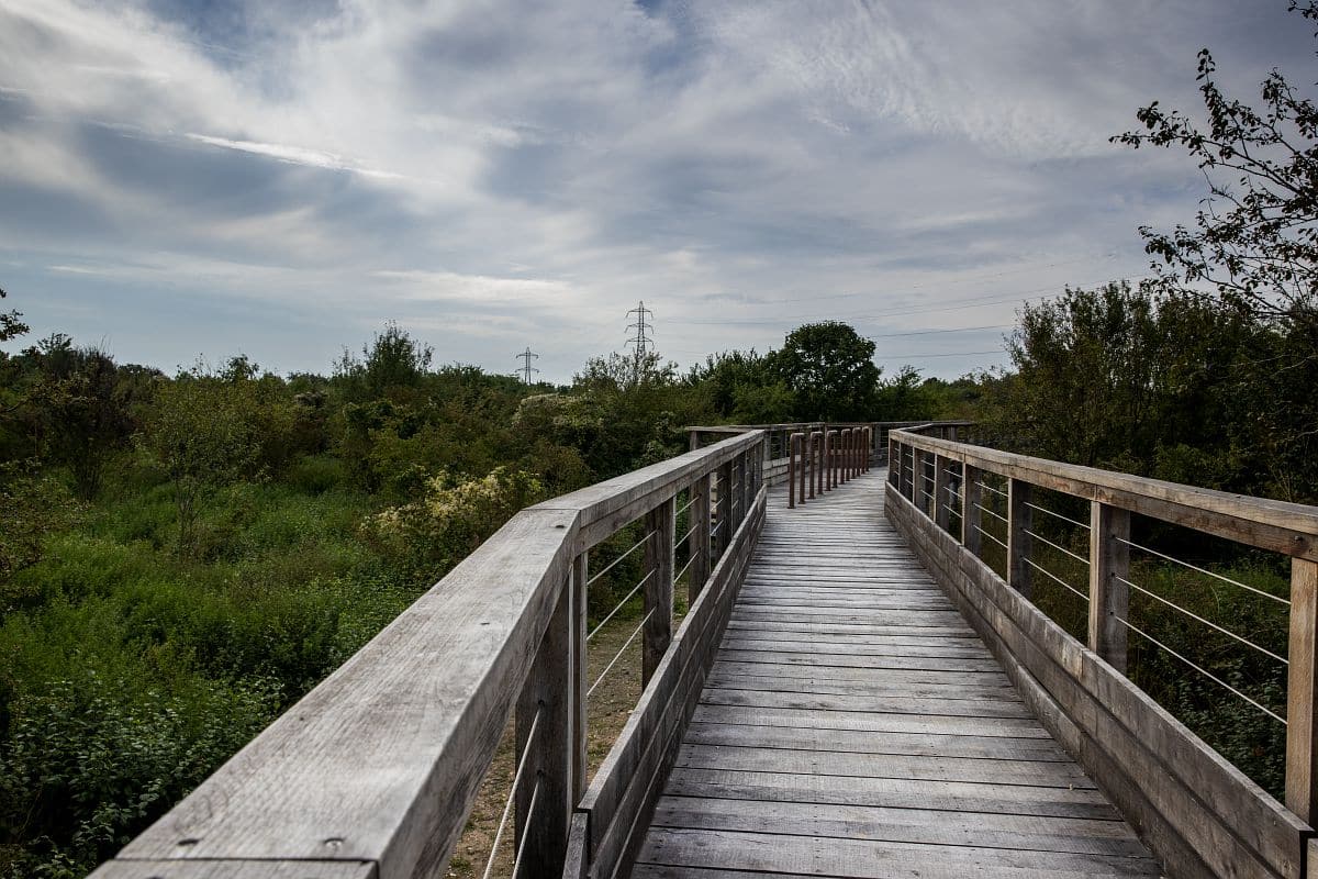 Les tapes Du Projet Du Parc Nature Du Plateau D Avron Rosny sous Bois Les tapes Du Projet Du Parc Nature Du Plateau D Avron Rosny sous Bois